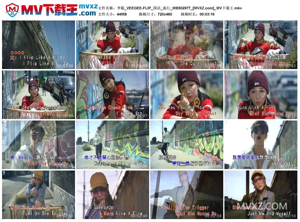 李聪_VEEGEE-FLIP_国语_流行_MB502977